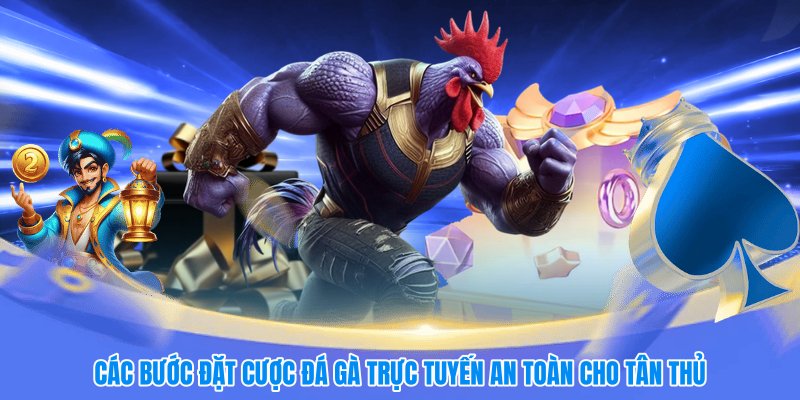 Các bước đặt cược đá gà trực tuyến an toàn cho tân thủ