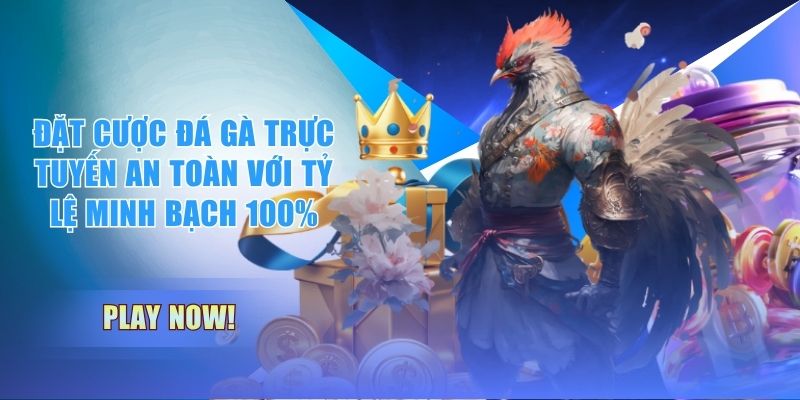 Đặt Cược Đá Gà Trực Tuyến An Toàn Với Tỷ Lệ Minh Bạch 100%